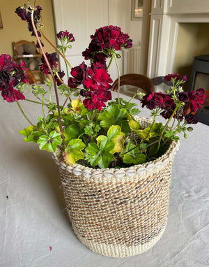 Sisal Basket Bin with Cowrie Shell Beading